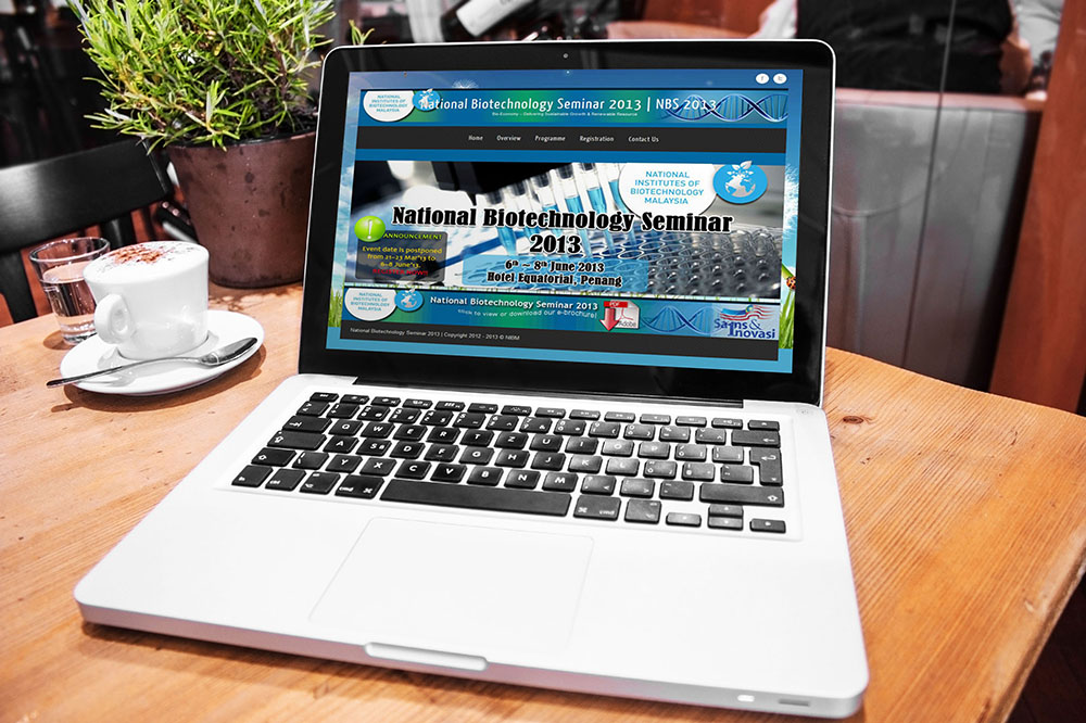 eWallz Solutions Malaysia Budget Web Design & Ecommerce Solutions - Google SEO services