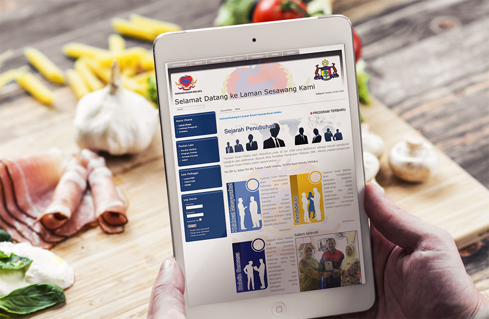 eWallz Solutions Malaysia Budget Web Design & Ecommerce Solutions - Google SEO services